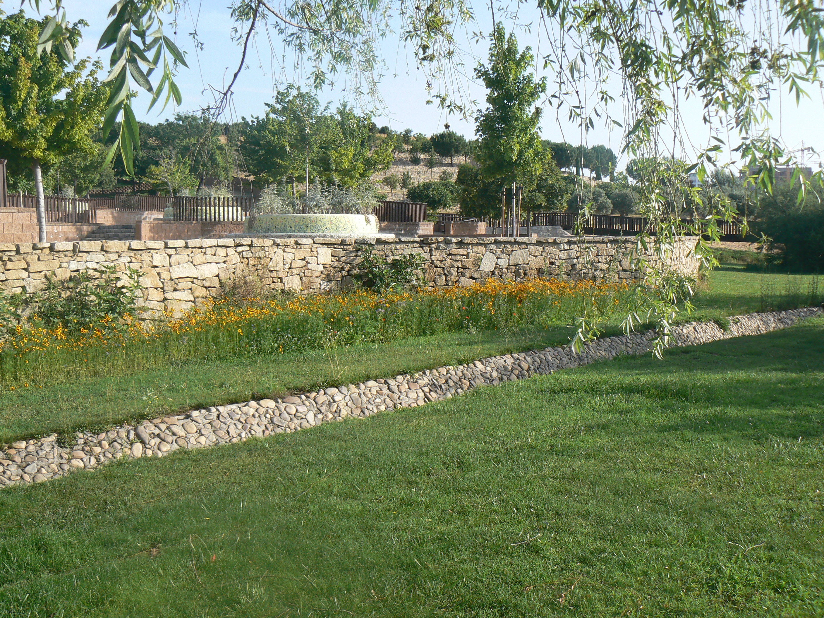 Foto Felipe VI terrazas pradera florida